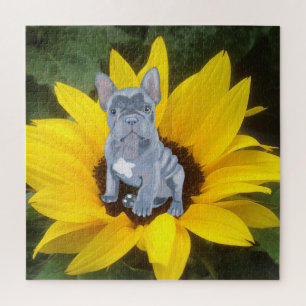 Quebra-cabeça Cinza azul Cachorro francês Cachorro e girassol
