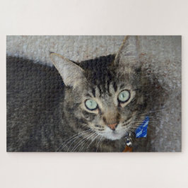 Quebra-cabeça Cinza Bonita por Olhos Verdes do Gato Elegante