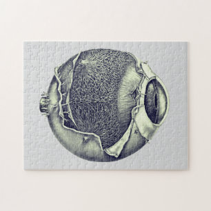 Quebra-cabeça Cinza de Desenho de Detalhe do Olho da Vintage Mod