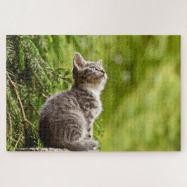 Quebra-cabeça Cinza de Gato Cinto Árvore Verde Pinheira