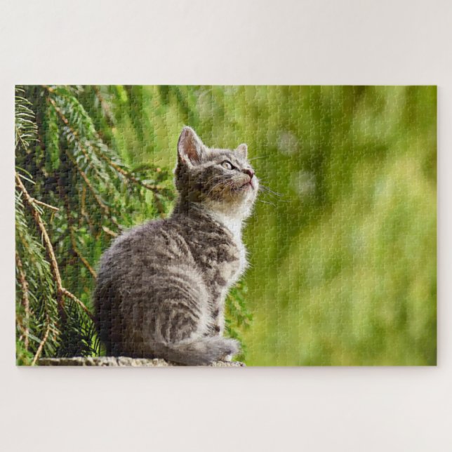 Quebra-cabeça Cinza de Gato Cinto Árvore Verde Pinheira (Horizontal)