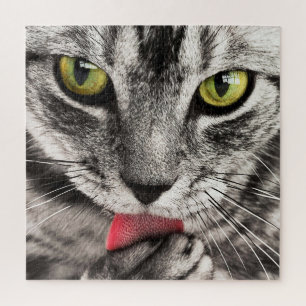 Quebra-cabeça Cinza de gato com olho amarelo
