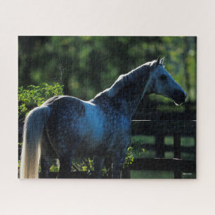 Quebra-cabeça Cinza Hanoverian Stallion Standlion