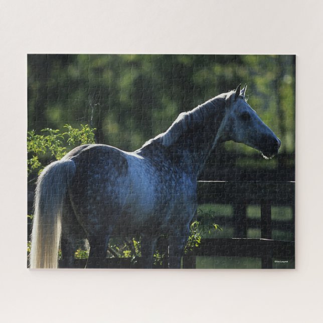 Quebra-cabeça Cinza Hanoverian Stallion Standlion (Horizontal)