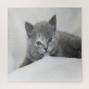 Quebra-cabeça Cinza Kitten Licenciando neve