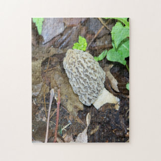 Quebra-cabeça Cinza Morel Mushroom
