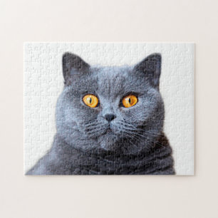 Quebra-cabeça Cinza olhos amarelos de gato