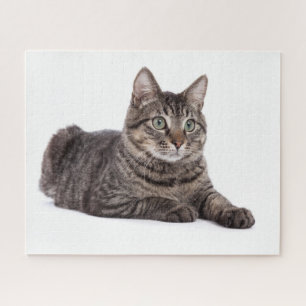 Quebra-cabeça Cinza Tabby Cat