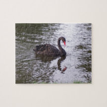 Cisne