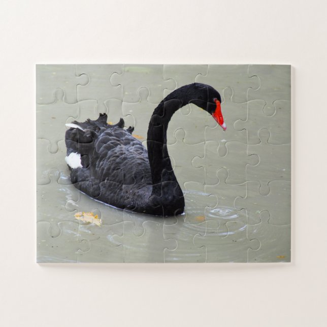 Quebra-cabeça Cisne negro (Horizontal)