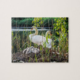 Quebra-cabeça Cisnes e Cygnets