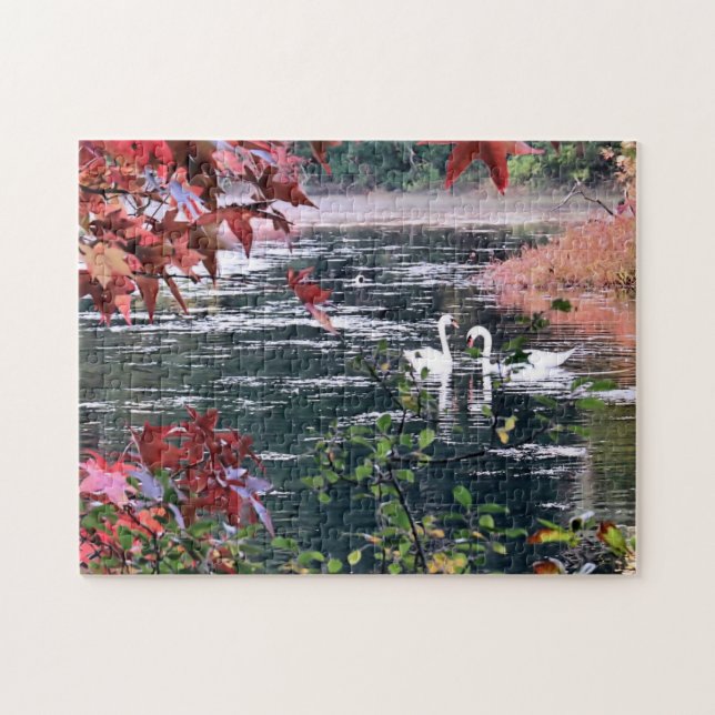 Quebra-cabeça - Cisnes em Jenney Pond (Horizontal)