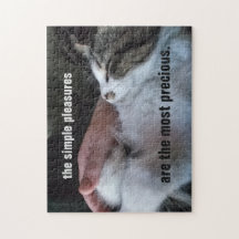 Citação de Gatinho Fofo Prazeres Simples Mais Prec