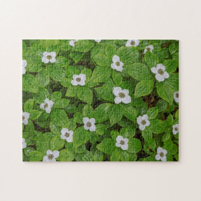 Quebra-cabeça Close-up de bunchberry com flores brancas (Horizontal)