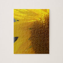 Close Up de Girassol Amarelo