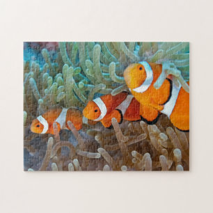 Quebra-cabeça Clownfish