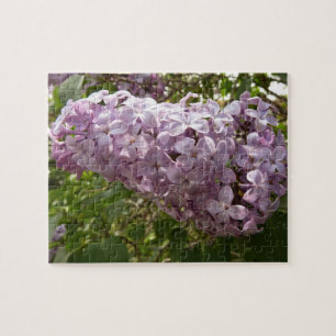 Quebra-cabeça Cluster de Lilac Blossoms Primavera Floral