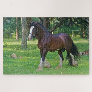 Quebra-cabeça Clydesdale Horse