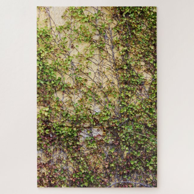 Quebra-cabeça Cobertura de Muro - Irlanda (Vertical)