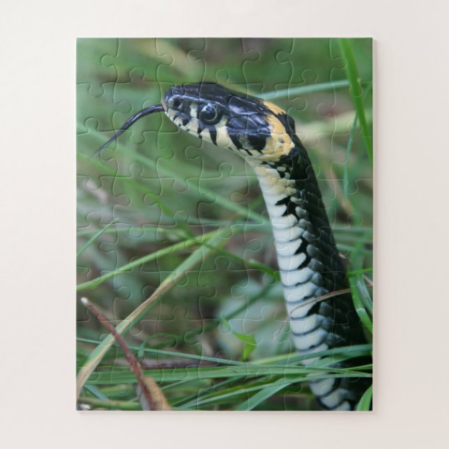 Quebra-cabeça Cobra (Vertical)