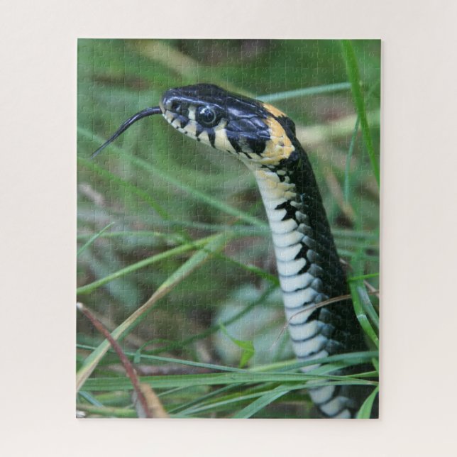 Quebra-cabeça Cobra (Vertical)