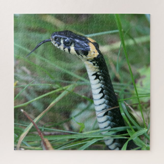 Quebra-cabeça Cobra (Vertical)