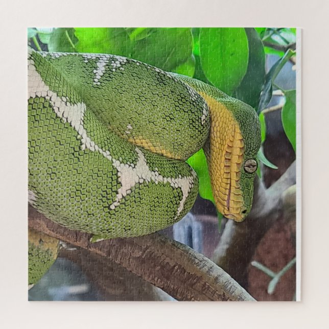 Quebra-cabeça cobra (Vertical)