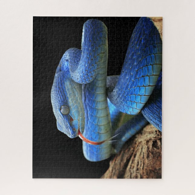Quebra-cabeça Cobra azul (Vertical)