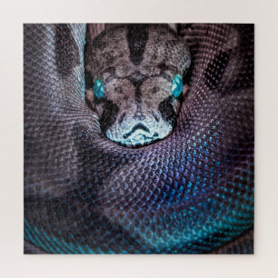 Quebra-cabeça Cobra boa-píton-anaconda
