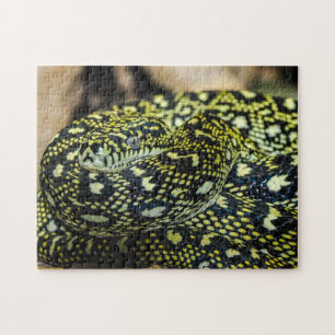 Quebra-cabeça Cobra de Python de tapete