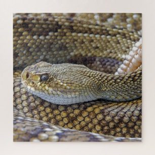 Quebra-cabeça Cobra Venomous Rattle Close-Up