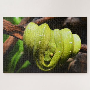 Quebra-cabeça cobra verde