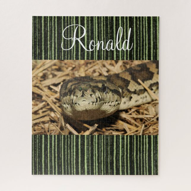 Quebra-cabeça Cobra verde (Vertical)