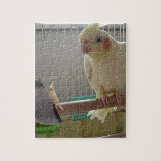 Quebra-cabeça Cockatiel Divertido