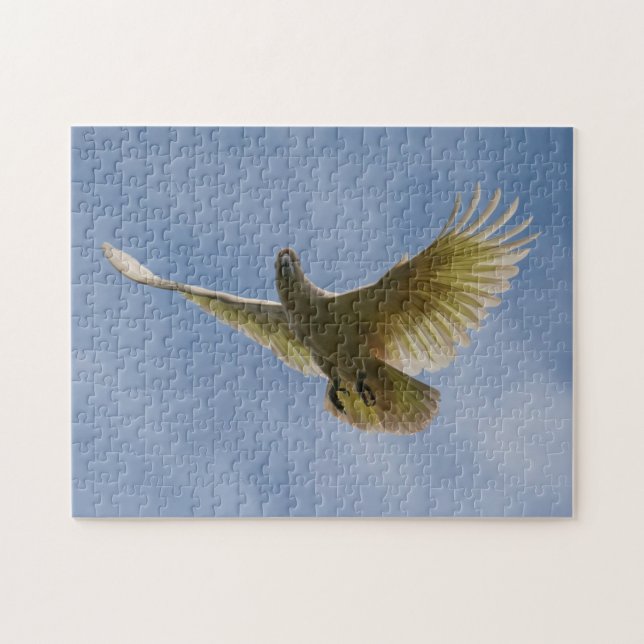 Quebra-cabeça Cockatoo Parrot Animal Fly Sky, 252 pedaços (Horizontal)