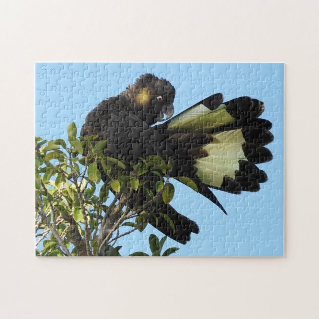 Quebra-cabeça Cockatoo preto de cauda amarela (Horizontal)