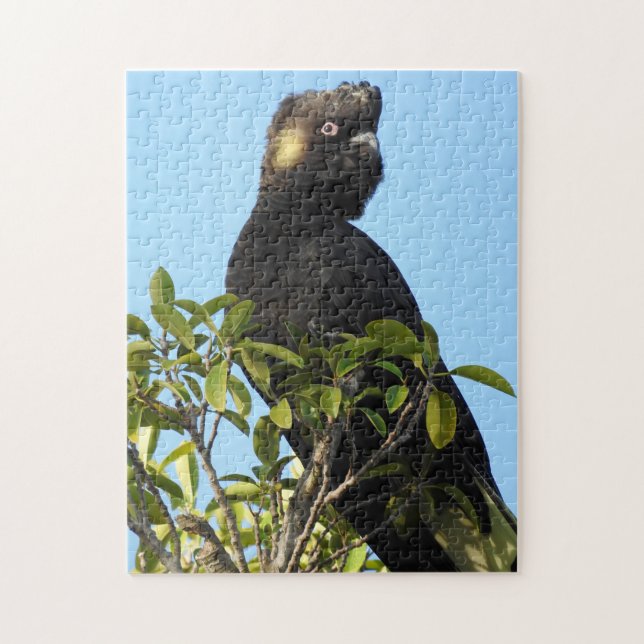 Quebra-cabeça Cockatoo preto de cauda amarela (Vertical)