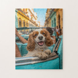 Quebra-cabeça Cocker Spaniel King Charles Tira Selfies em Cuba