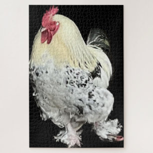 Quebra-cabeça Cockerel magnífico n.o 2