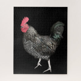 Quebra-cabeça Cockerel preto n.o 4