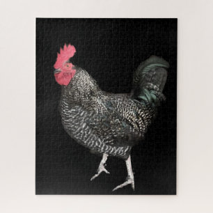 Quebra-cabeça Cockerel preto n.o 4