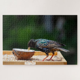 Quebra-cabeça Coco De Comida De Aves Com Pássaros Pretos