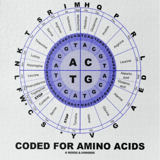 Quebra-cabeça Codificado para os ácidos aminados (ADN do código (Jigsaw puzzle featuring codon wheel for anyone who is "Coded For Amino Acids" & that means everyone!)