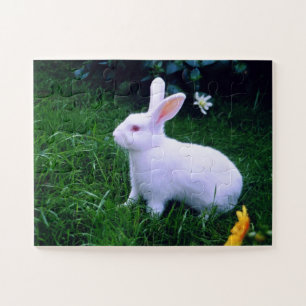 Quebra-cabeça Coelhinho branco bonito