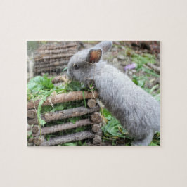 Quebra-cabeça coelhinho cinzento coelhinho da páscoa 5 puzzle