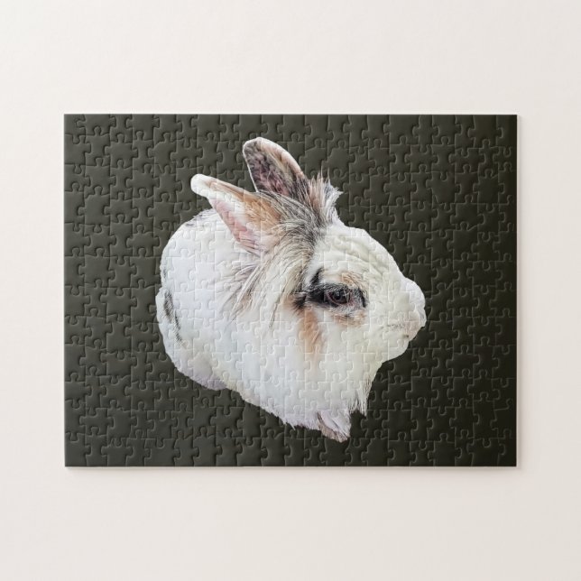 Quebra-cabeça Coelho Lionhead Tri-Color (Horizontal)