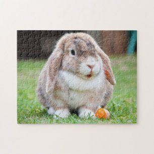 Quebra-cabeça Coelho Mini Lop