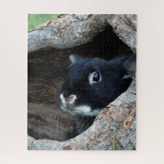 Quebra-cabeça Coelho Preto em Oco de uma Árvore Foto (Vertical)