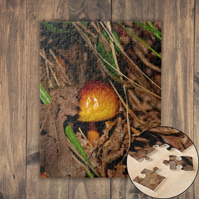 Quebra-cabeça Cogumelo da Floresta (Woodland Mushroom Jigsaw Puzzle)