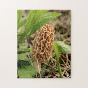 Quebra-cabeça Cogumelo do Morel